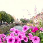 Strasbourg Gezilecek Yerler 31 svg%3E