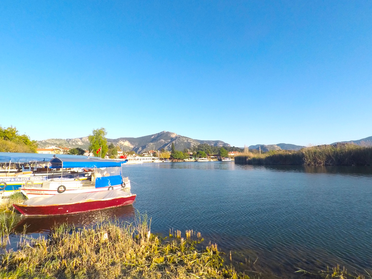 dalyan 1