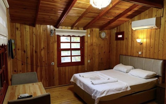 albatross dag evi