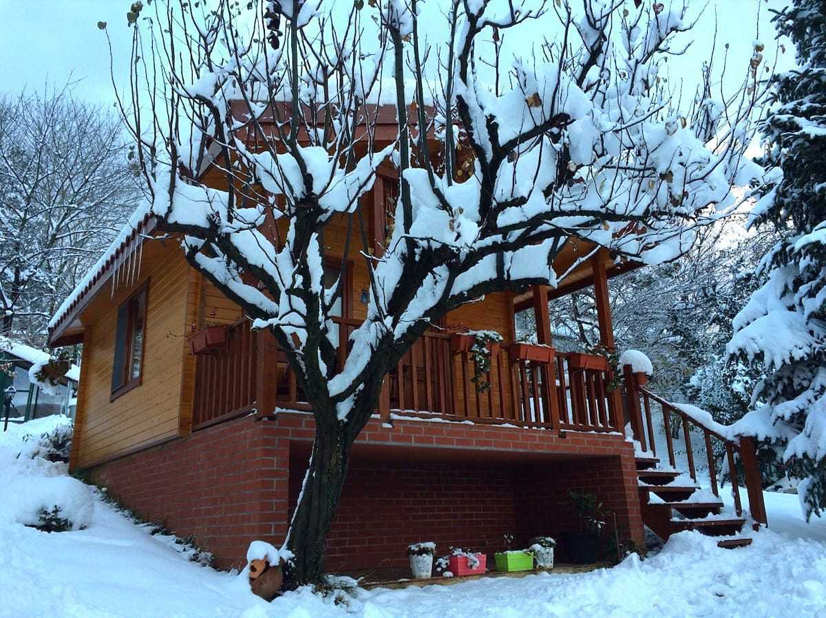 kirpi kulube sakarya
