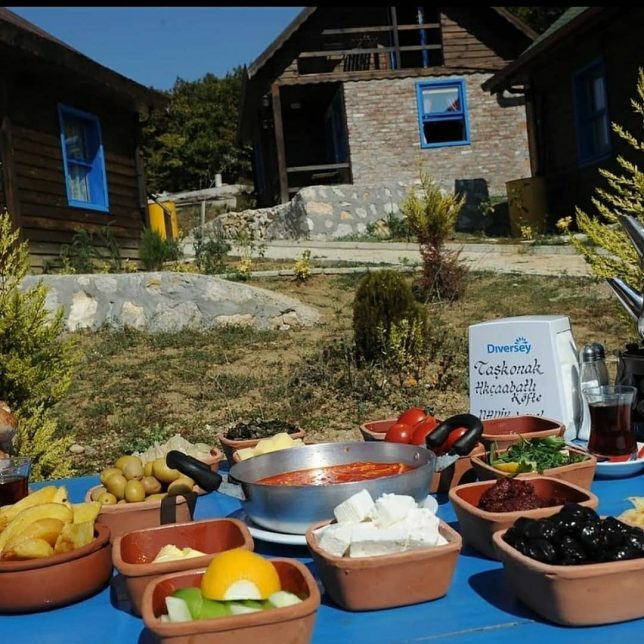 samsun taskonak