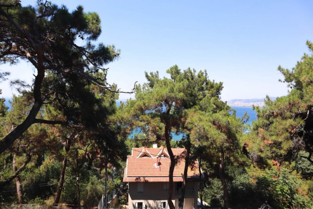 buyukada kosk orman otel