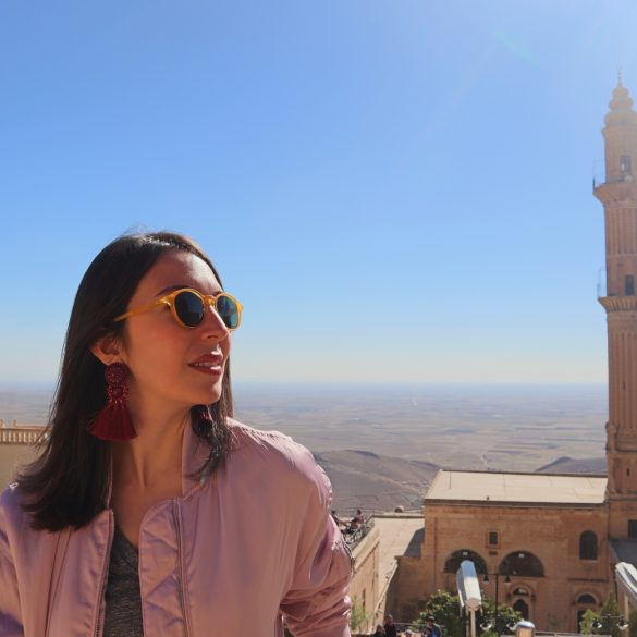 Güneydoğu Anadolu Bölgesi'nde Gezilecek Yerler 15 svg%3E