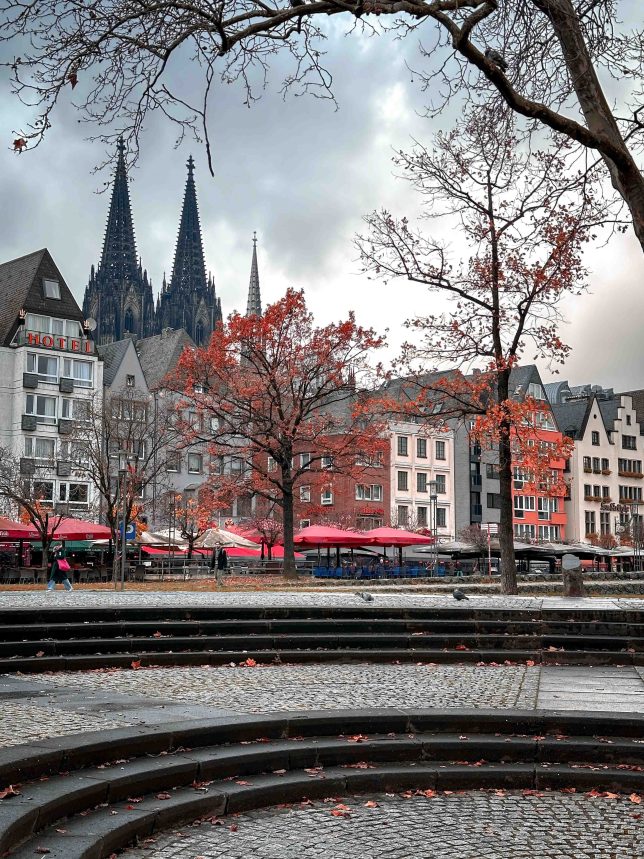 fishmarket cologne