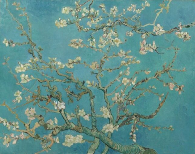 vangoghmuseum s0176V1962 800